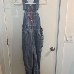 Blue Striped Overalls